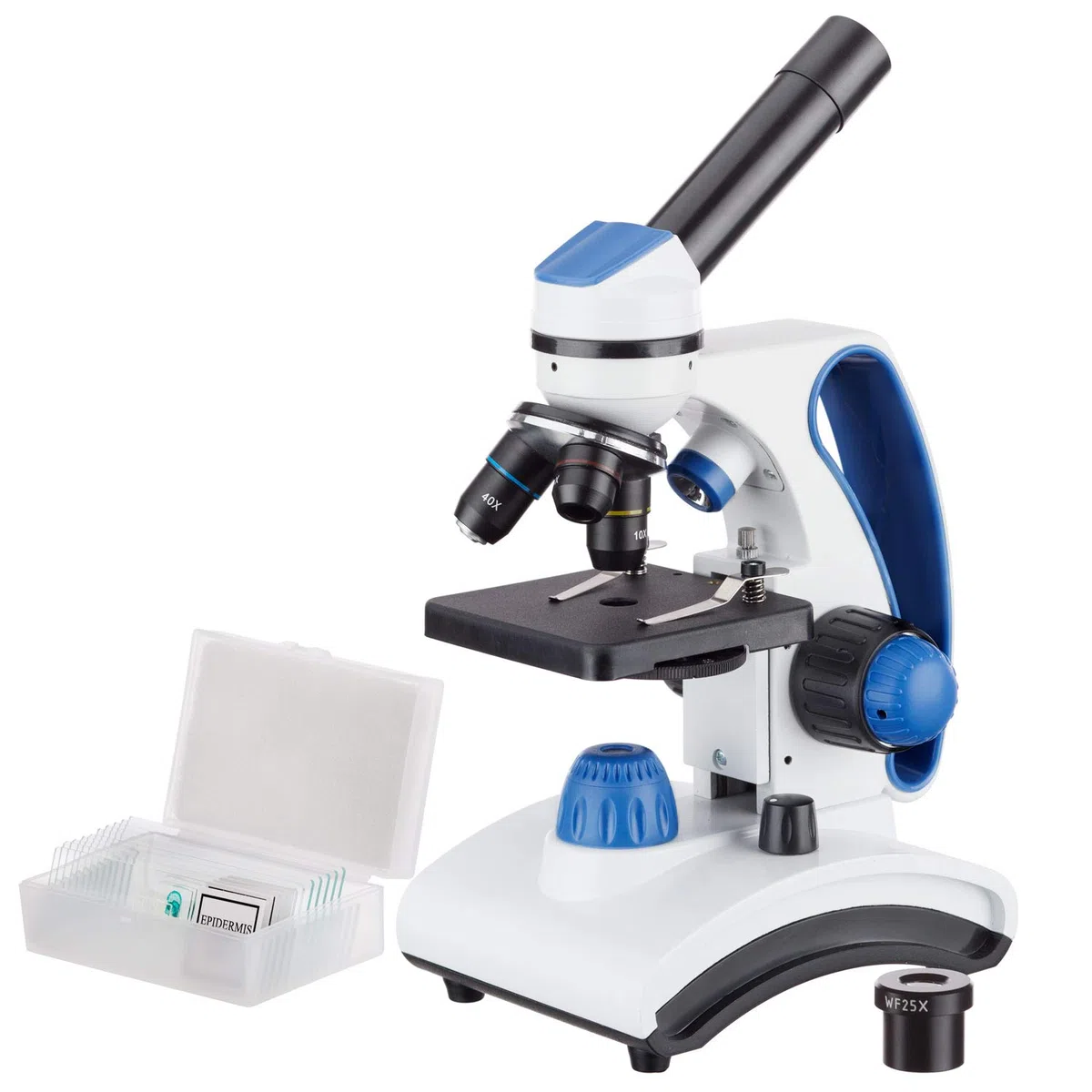 AmScope M162C-2L-PB10 Microscopio escolar de metal con lente de cristal y 2 luces, 40x - 1000x