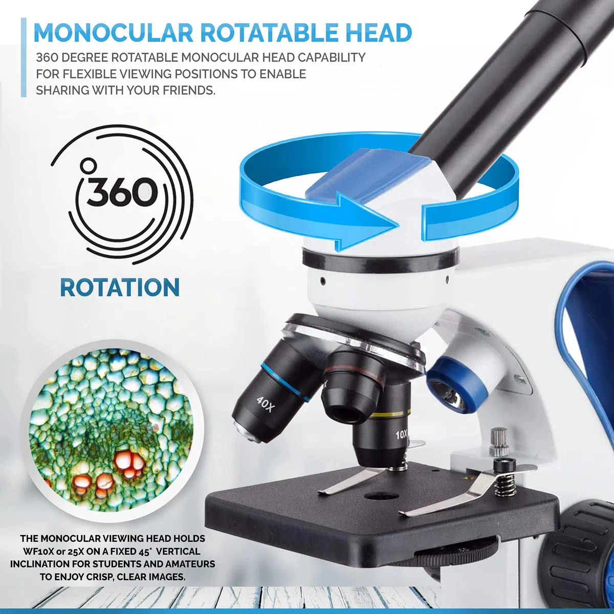 AmScope M162C-2L-PB10-WM - Kit de Microscopio Premiado 2018 Para Estudiantes y Niños - 40X-1000X Doble Luz Todo Metálico Con Diapositivas y Libro