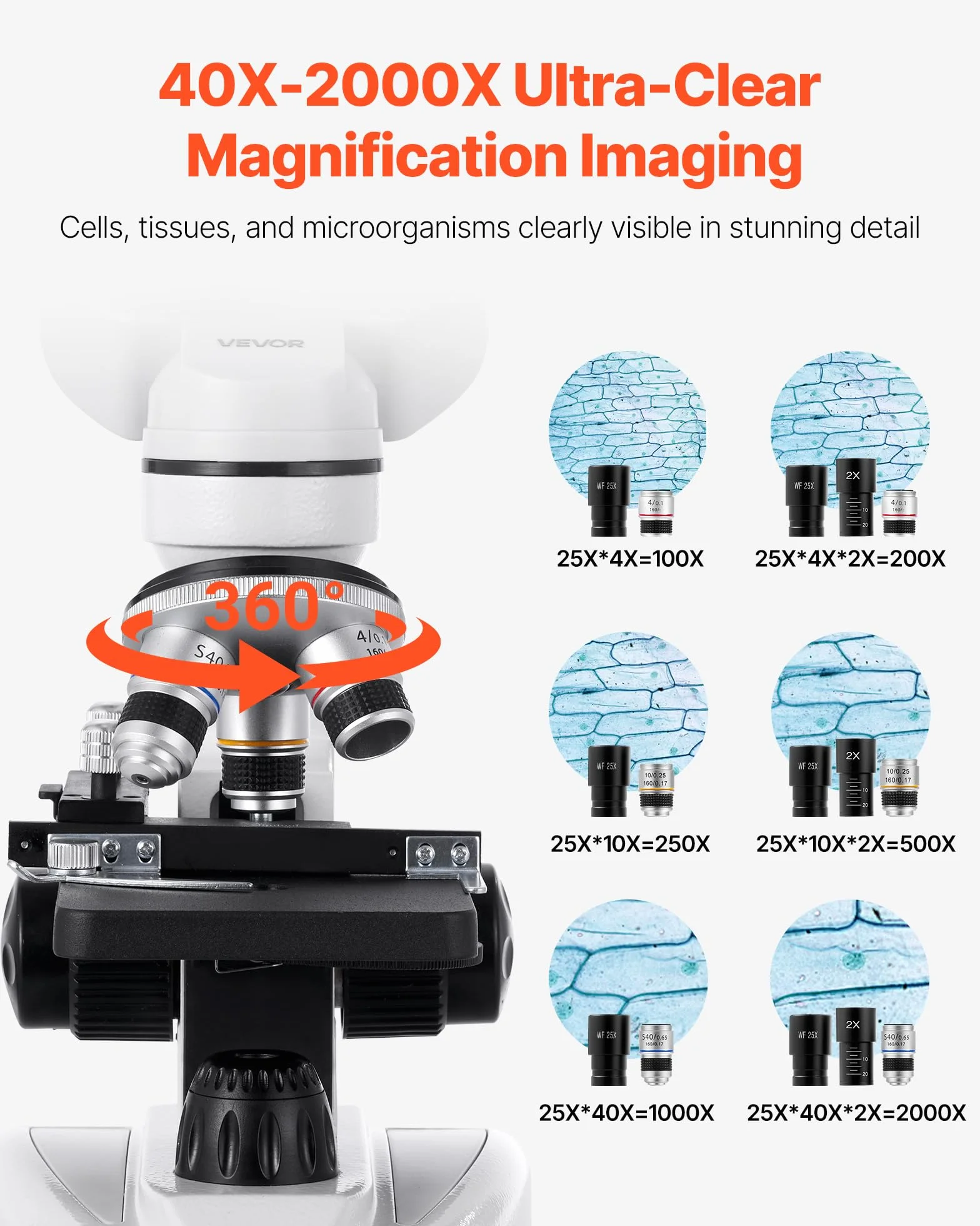VEVOR Microscopio Compuesto con Aumento de 40-2000X Kit de Microscopio Binocular Cuerpo de Aleación de Aluminio, Luz LED, Soporte para Teléfono, para Estudiantes, Laboratorios, Escuelas, Hogar