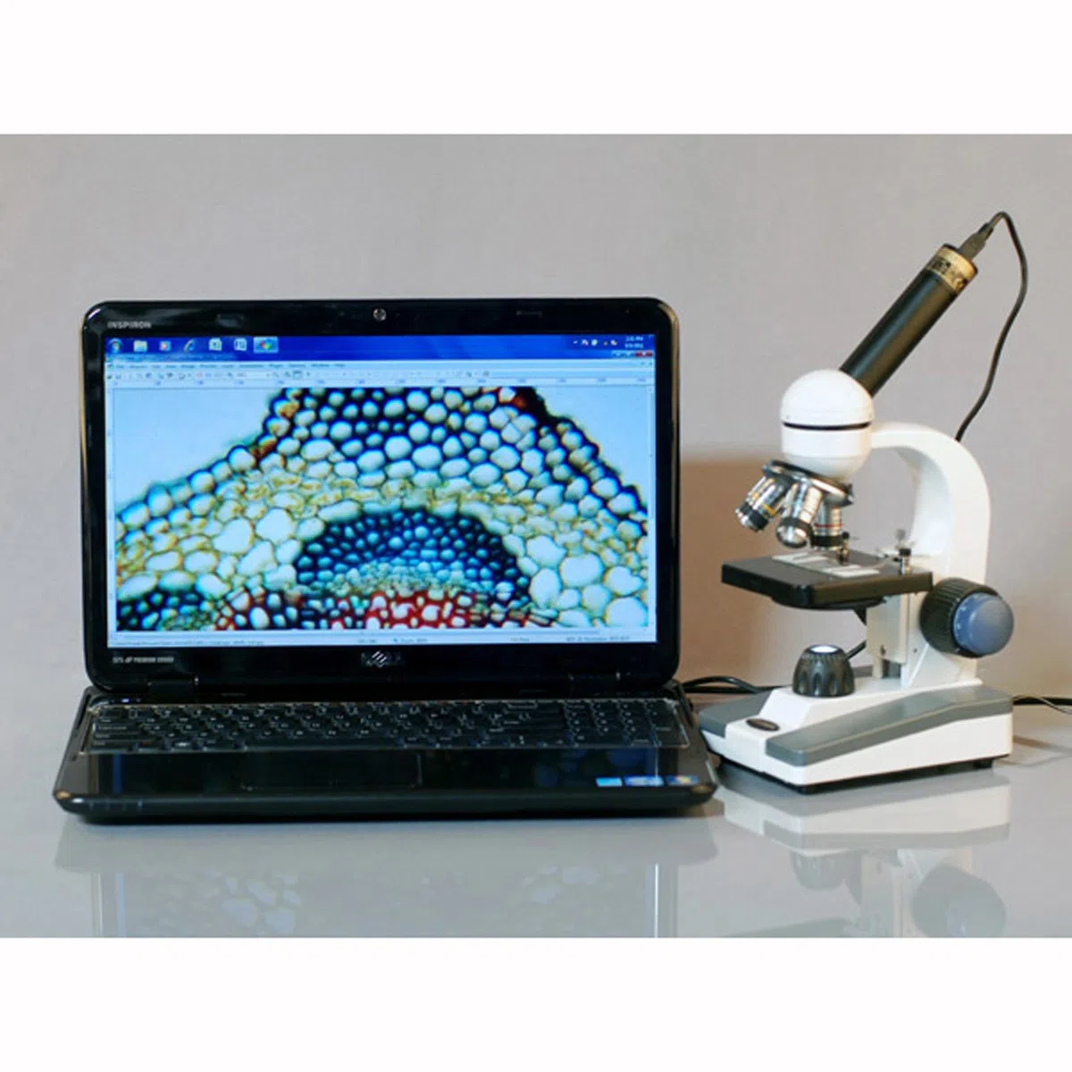 AmScope m150 C-sp14 40 x -1000 x Estudiantil microscopio portátil con Kit de preparación de diapositiva
