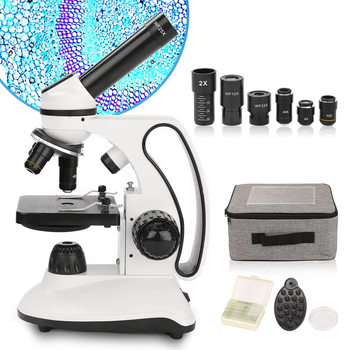 Microscopios educativos biológicos Microscopio Compuesto de iluminación LED 40X-2000X para Estudiantes Adultos con Lentes de Vidrio óptico y 15 Diapositivas, Cuerpo de Metal, Estuche de Transporte
