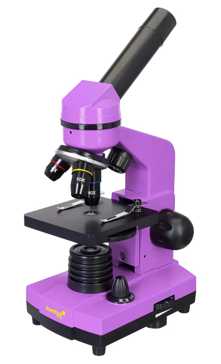 Levenhuk Rainbow 2L Amethyst Kit Stem de Laboratorio Doméstico para Niños con Microscopio Biológico Portátil de 400x, Guía de Experimentos Ilustrada, Muestras Preparadas y Herramientas Científicas