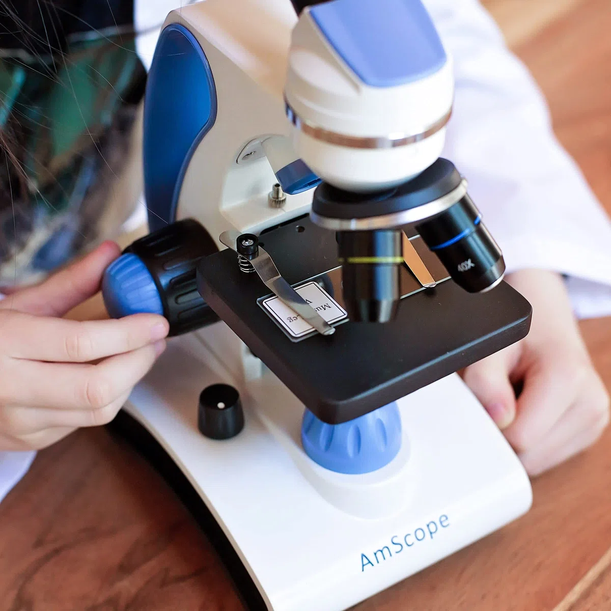 AmScope M162C-2L-PB10 Microscopio escolar de metal con lente de cristal y 2 luces, 40x - 1000x
