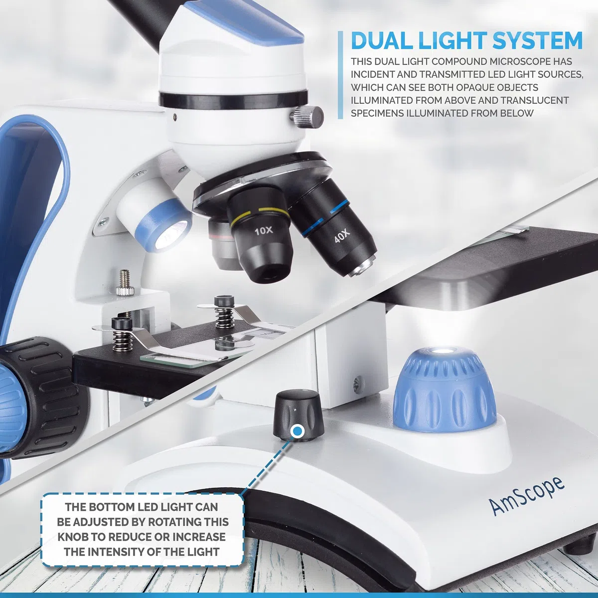 AmScope M162C-2L-PB10-WM - Kit de Microscopio Premiado 2018 Para Estudiantes y Niños - 40X-1000X Doble Luz Todo Metálico Con Diapositivas y Libro