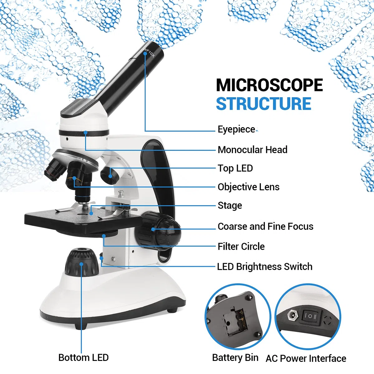Microscopios educativos biológicos Microscopio Compuesto de iluminación LED 40X-2000X para Estudiantes Adultos con Lentes de Vidrio óptico y 15 Diapositivas, Cuerpo de Metal, Estuche de Transporte