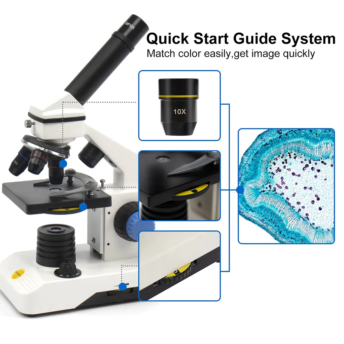 SWIFT Microscopio SS121 100X-2000X para niños estudiantes adultos, con adaptador de teléfono, microscopios potentes para laboratorio escolar, educación de investigación científica biológica