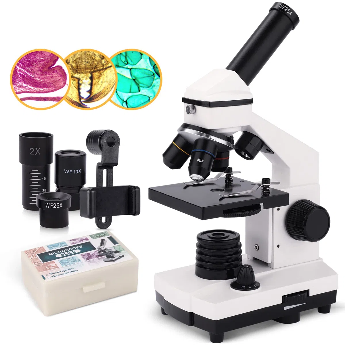 Microscopio Monocular Compuesto 40X-2000X para Niños, Adultos y Estudiantes - Microscopio de Precisión para Educación en Ciencias Biológicas con Kits - Metal y Vidrio - LED - Blanco