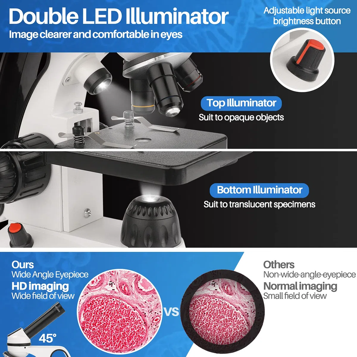 Microscopios educativos biológicos Microscopio Compuesto de iluminación LED 40X-2000X para Estudiantes Adultos con Lentes de Vidrio óptico y 15 Diapositivas, Cuerpo de Metal, Estuche de Transporte