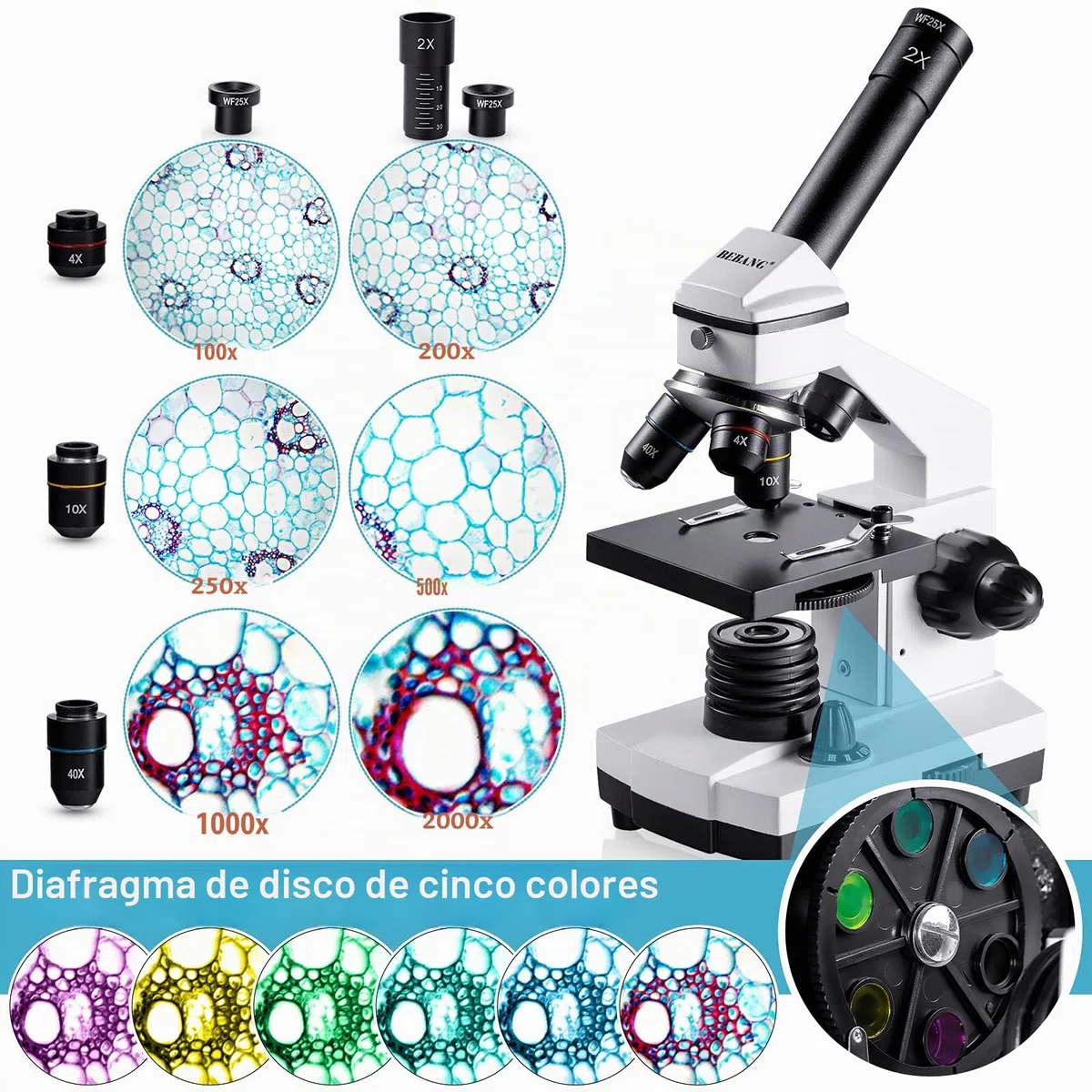 BEBANG 100X-2000X Microscopio para Niños Adultos, Profesional Biológico Microscopio para Estudiantes Escuela Laboratorio