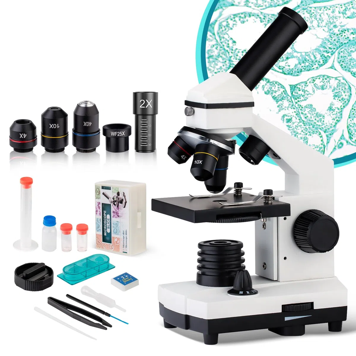 Microscopio de actualización 40X-2000X para niños, Estudiantes y Adultos, Potente microscopio biológico para niños, para Laboratorios Escolares, hogar, investigación científica biológica