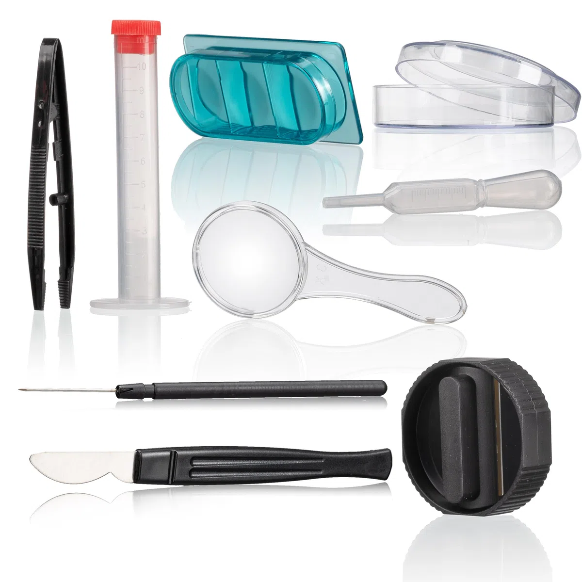 Bresser Microscopio 40-640x con Amplio Juego de experimentos y muestras Inteligentes con código QR, Blanco