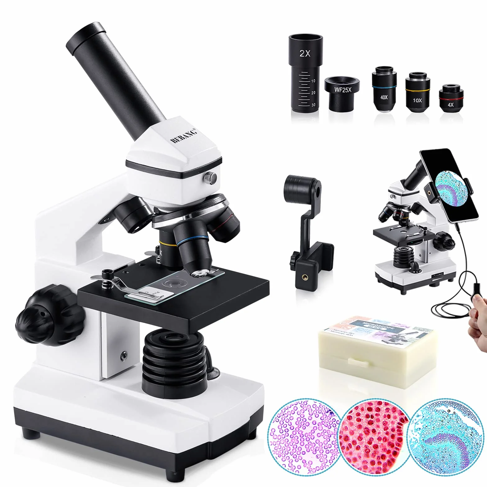BEBANG 100X-2000X Microscopio para Niños Adultos, Profesional Biológico Microscopio para Estudiantes Escuela Laboratorio