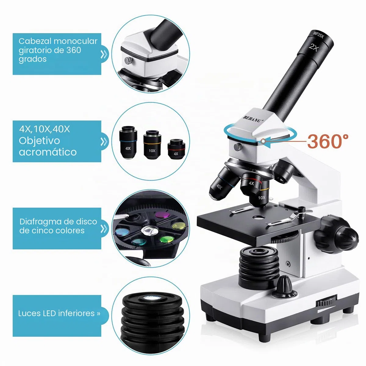BEBANG 100X-2000X Microscopio para Niños Adultos, Profesional Biológico Microscopio para Estudiantes Escuela Laboratorio